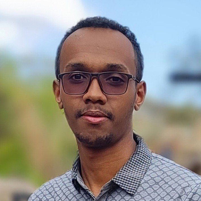 kartoza team member