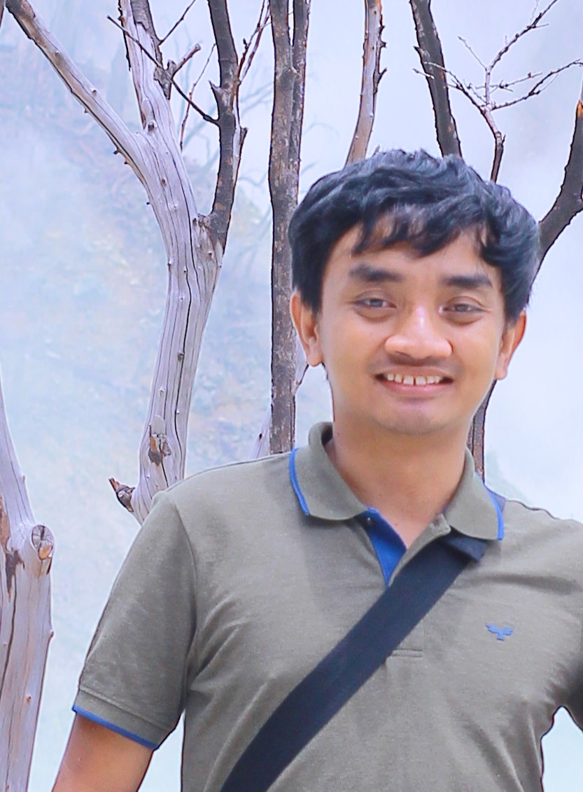 kartoza team member